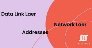 DataLink and Network Layer Addresses