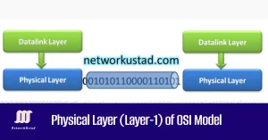Diagram of the Physical Layer in the OSI Model showing data transmission between Datalink Layers.