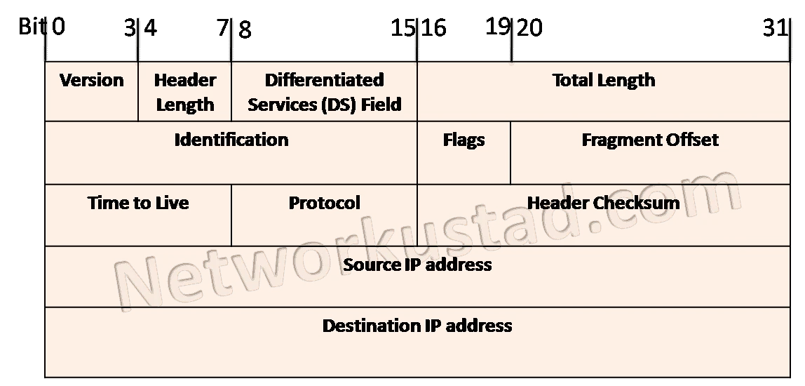 What Is an IP Address? A Complete, Exciting Guide for Beginners 2025
