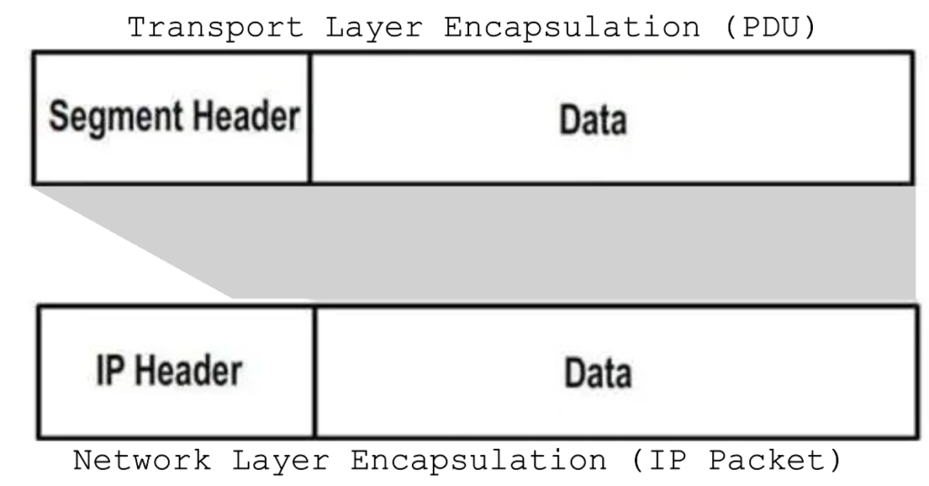Network Layer