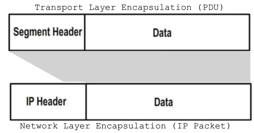 A diagram illustrating the process of encapsulation from the transport layer to the network layer. The top section, labeled "Transport Layer Encapsulation (PDU)," shows a segment with a "Segment Header" and "Data" fields. An arrow indicates the addition of an "IP Header," transforming it into the bottom section, labeled "Network Layer Encapsulation (IP Packet)," which includes the "IP Header" and the unchanged "Data" field. This visualizes how the network layer encapsulates the transport layer PDU into an IP packet.