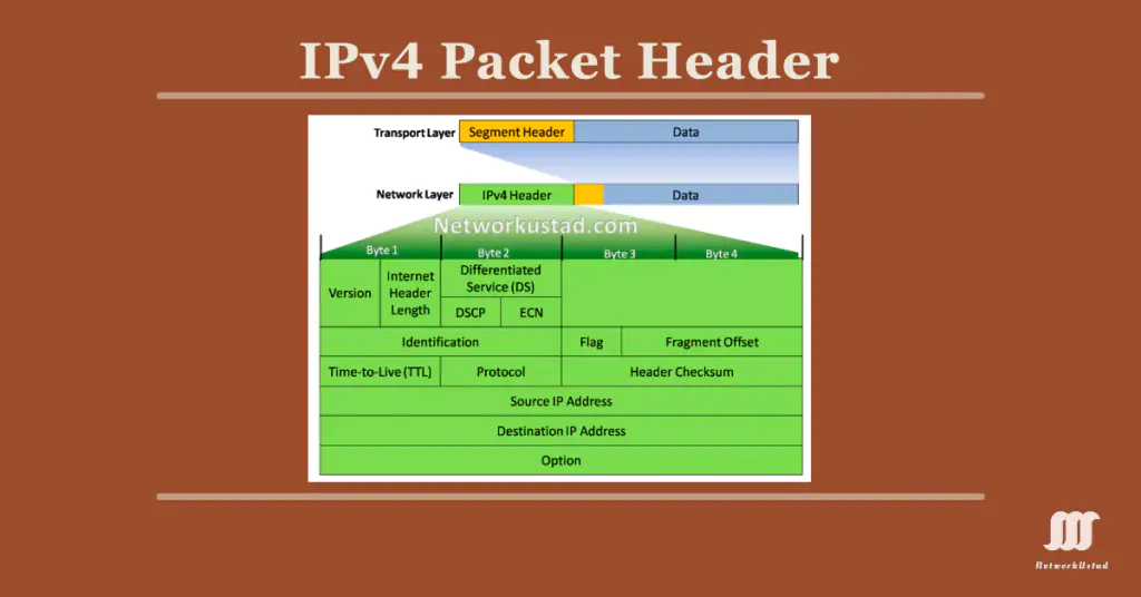 Mastering the IPv4 Packet Header: Insights for 2025 Networks