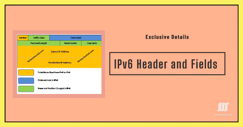IPv6 Header and Fields – Exclusive Details