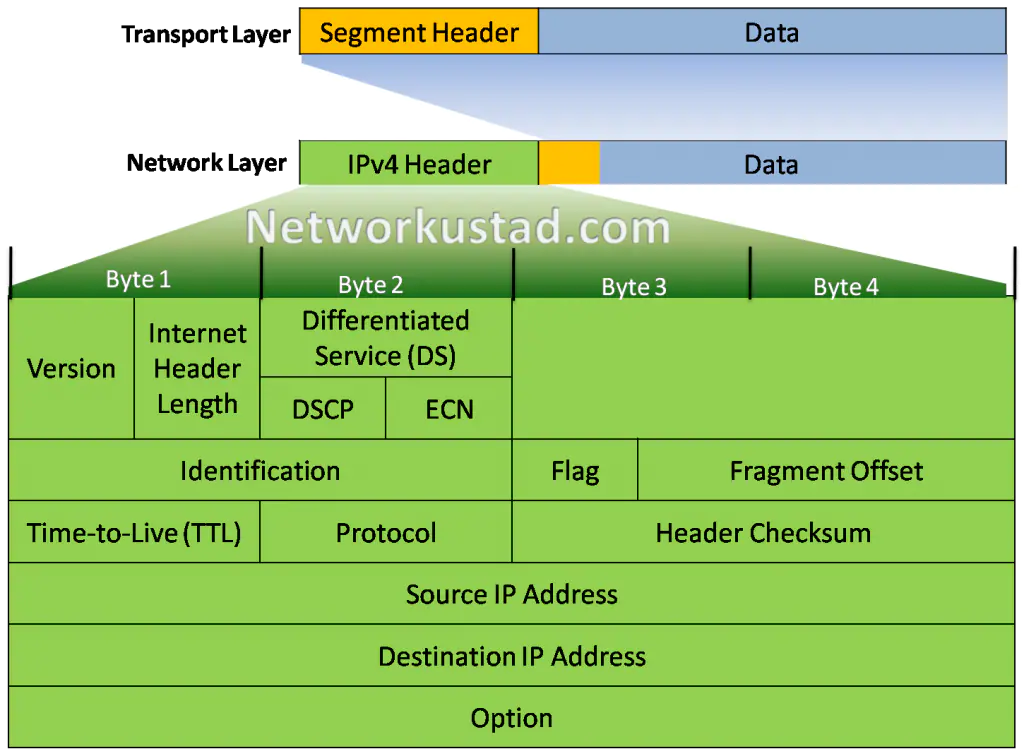 A diagram illustrating the structure of an IPv4 packet header. The header is depicted as a horizontal bar divided into multiple labeled fields. From left to right, the fields include: Version (4 bits), Internet Header Length (IHL, 4 bits), Differentiated Services (DS, 8 bits), Total Length (16 bits), Identification (16 bits), Flags (3 bits), Fragment Offset (13 bits), Time-to-Live (TTL, 8 bits), Protocol (8 bits), Header Checksum (16 bits), Source IP Address (32 bits), Destination IP Address (32 bits), and an optional Options field (variable length). Each field is color-coded (e.g., blue for Version, green for IHL) to distinguish its role in packet processing, with annotations explaining their functions.