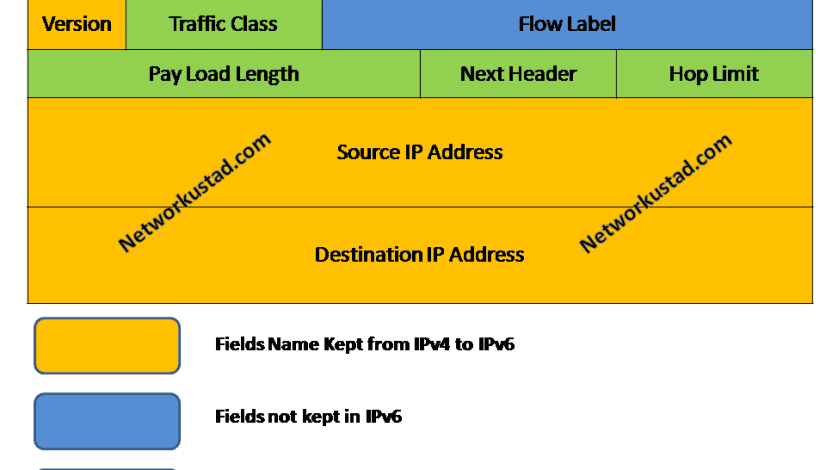 IPv6 Header