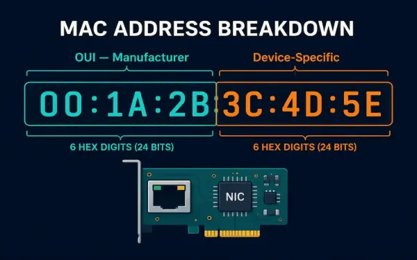 Mac Address Split Into Oui And Device-Specific Segments