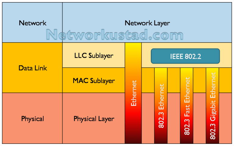 A diagram illustrating the sublayers of the Data Link layer in the OSI model, divided into LLC Sublayer and MAC Sublayer, with the IEEE 802.2 standard highlighted in teal. The Physical layer below includes Ethernet standards such as 802.3, 802.3u (Fast Ethernet), and 802.3z (Gigabit Ethernet). The Network layer is shown above the Data Link layer. The website "Networkustad.com" is watermarked across the diagram.