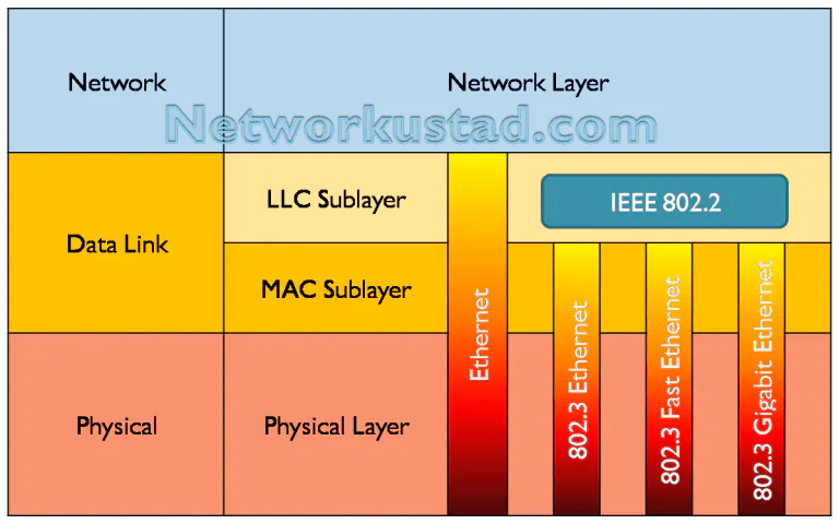A diagram illustrating the sublayers of the Data Link layer in the OSI model, divided into LLC Sublayer and MAC Sublayer, with the IEEE 802.2 standard highlighted in teal. The Physical layer below includes Ethernet standards such as 802.3, 802.3u (Fast Ethernet), and 802.3z (Gigabit Ethernet). The Network layer is shown above the Data Link layer. The website "Networkustad.com" is watermarked across the diagram.
