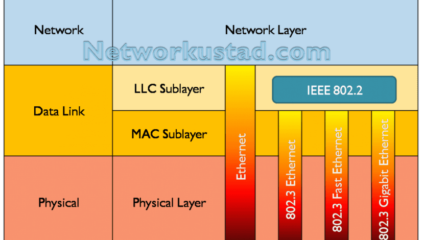 MAC and LLC
