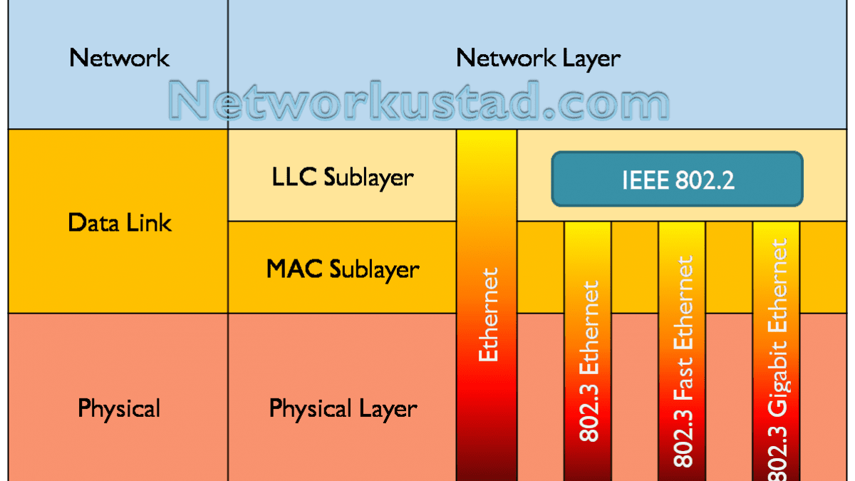 2 Sublayers Llc And Mac Important Functions Networkustad 2 Sublayers Llc And Mac Important Functions Networkustad