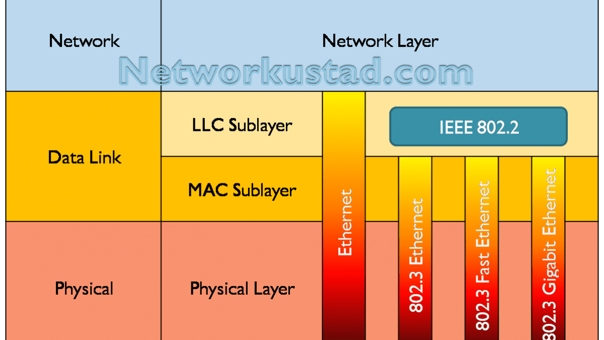 2 Sublayers Llc And Mac Important Functions Networkustad