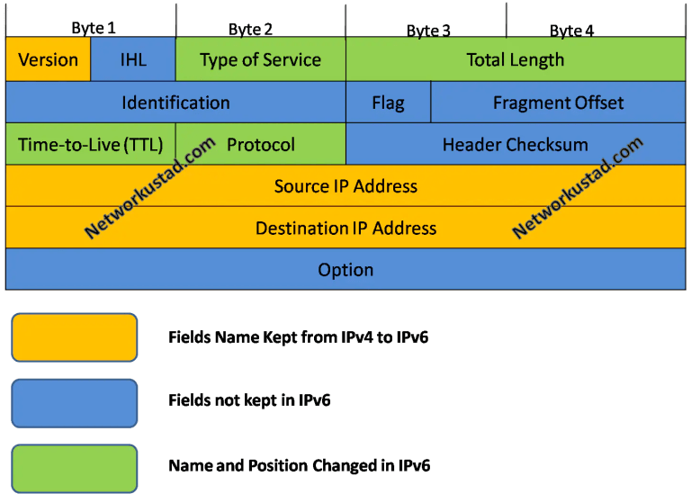 IPv6 Header and Fields