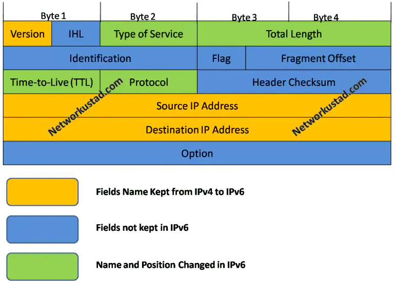 IPv6 Header and Fields