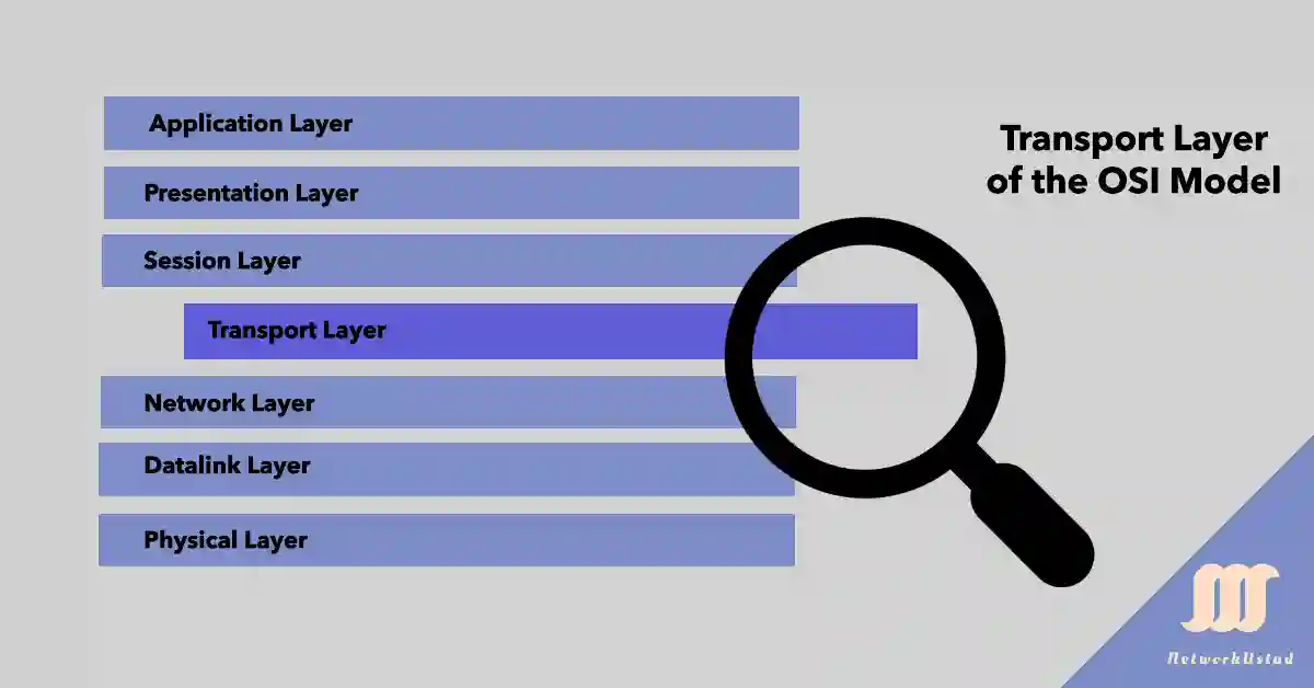 A diagram of the OSI Model layers with a magnifying glass highlighting the Transport Layer, including Application, Presentation, Session, Transport, Network, Datalink, and Physical Layers, branded