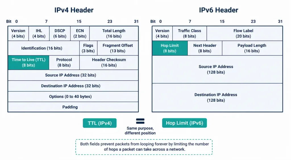 Ping And Traceroute: The Essential Network Troubleshooting Toolkit 6 Side-By-Side Comparison Of The Ttl Field In Ipv4 And The Hop Limit Field In Ipv6