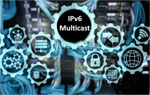 Diagram illustrating IPv6 multicast address structure and usage