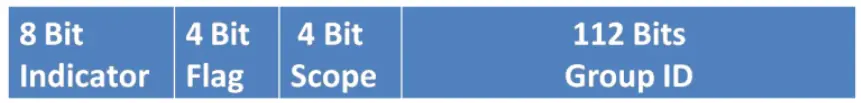 IPv6 Multicast Addresses Explained