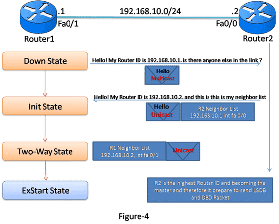 Introduction and Exclusive Explanation of OSPF Operation