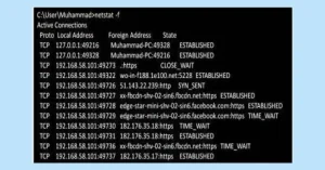 Terminal window displaying Netstat command output with active TCP connections and port statistics.
