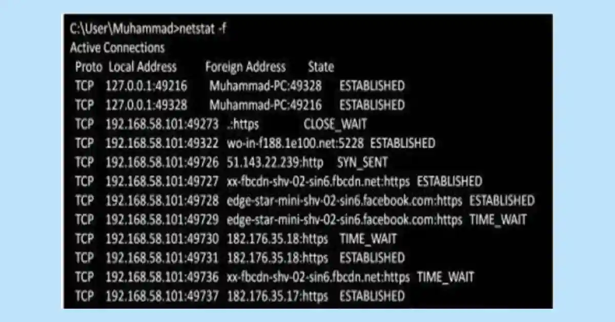 Terminal window displaying Netstat command output with active TCP connections and port statistics.