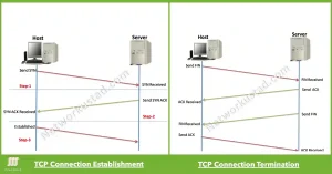 A diagram comparing TCP connection establishment and termination between a Host and a Server. The left side shows the three-step process: Host sending SYN, Server sending SYN ACK, and Host sending ACK to establish the connection. The right side shows the four-step termination: Host sending FIN, Server sending ACK and FIN, and Host sending ACK to terminate.