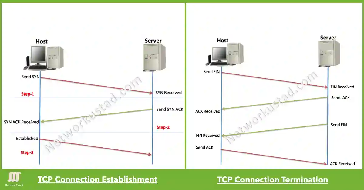 A diagram comparing TCP connection establishment and termination between a Host and a Server. The left side shows the three-step process: Host sending SYN, Server sending SYN ACK, and Host sending ACK to establish the connection. The right side shows the four-step termination: Host sending FIN, Server sending ACK and FIN, and Host sending ACK to terminate.