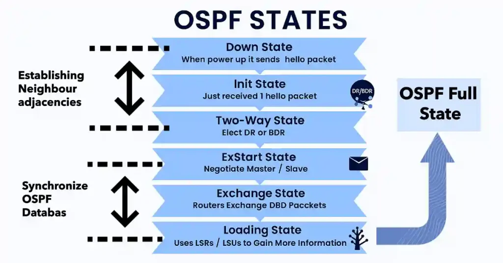 OSPF Process: Flowchart illustrating the progression of OSPF neighbor states from Down to Full State
