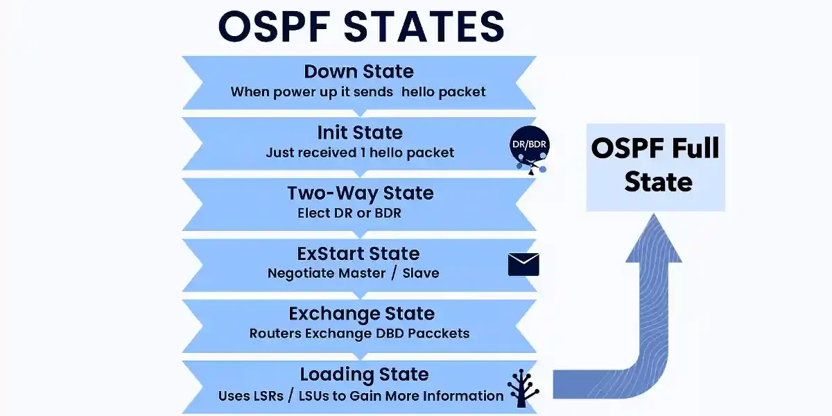 Flowchart illustrating the progression of OSPF neighbor states from Down to Full State