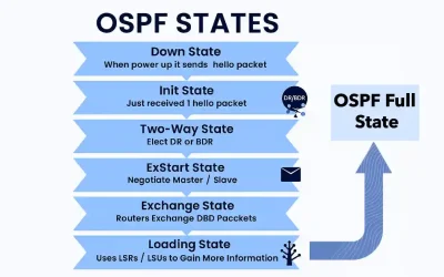 Flowchart illustrating the progression of OSPF neighbor states from Down to Full State