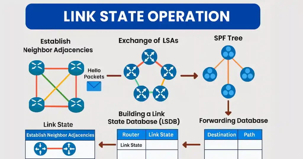 Diagram of link-state routing operation stages including establishing neighbor adjacencies with Hello packets, exchanging LSAs, building LSDB, creating SPF tree, and populating forwarding database.