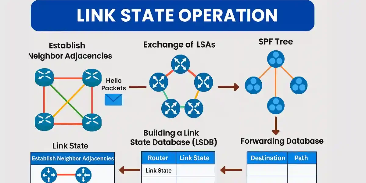 Diagram of link-state routing operation stages including establishing neighbor adjacencies with Hello packets, exchanging LSAs, building LSDB, creating SPF tree, and populating forwarding database.