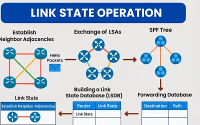 Diagram of link-state routing operation stages including establishing neighbor adjacencies with Hello packets, exchanging LSAs, building LSDB, creating SPF tree, and populating forwarding database.