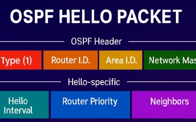 Diagram of OSPF Hello packet structure showing header and Hello fields between routers in an enterprise network
