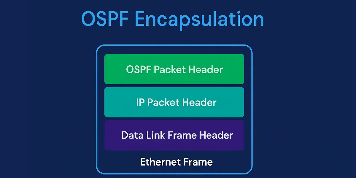 Diagram of OSPF encapsulation process showing data-link frame, IP packet, and OSPF packet headers between routers in an enterprise network