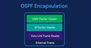 Diagram of OSPF encapsulation process showing data-link frame, IP packet, and OSPF packet headers between routers in an enterprise network