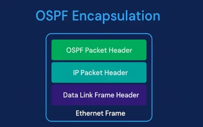 Diagram of OSPF encapsulation process showing data-link frame, IP packet, and OSPF packet headers between routers in an enterprise network