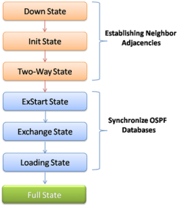 OSPF States