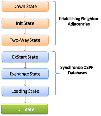 Introduction to the Different OSPF States and Process