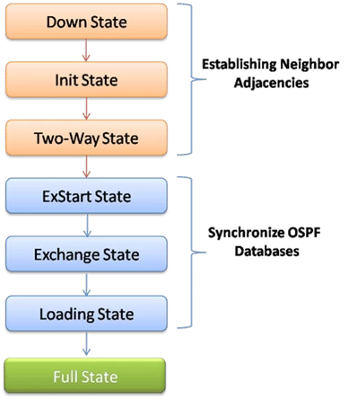 Introduction to the Different OSPF States and Process