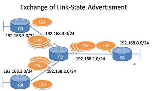 Diagram showing the exchange of Link State Advertisements (LSAs) between routers R1, R2, and R3, with IP subnets like 192.168.3.0/24 and 192.168.0.0/24, illustrating LSA flooding in a network.