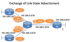 Link State Operation