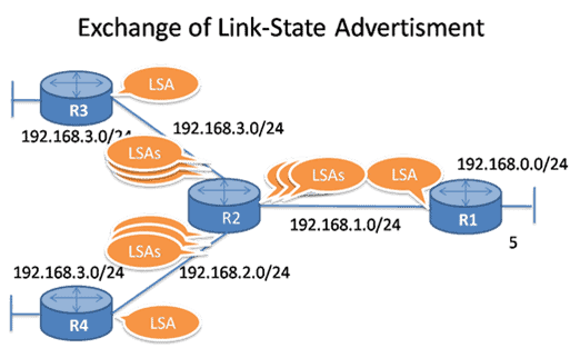 Link State Operation – Exclusive Explanation