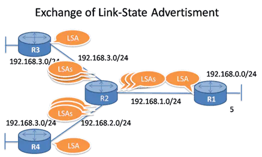 Link State Operation – Exclusive Explanation