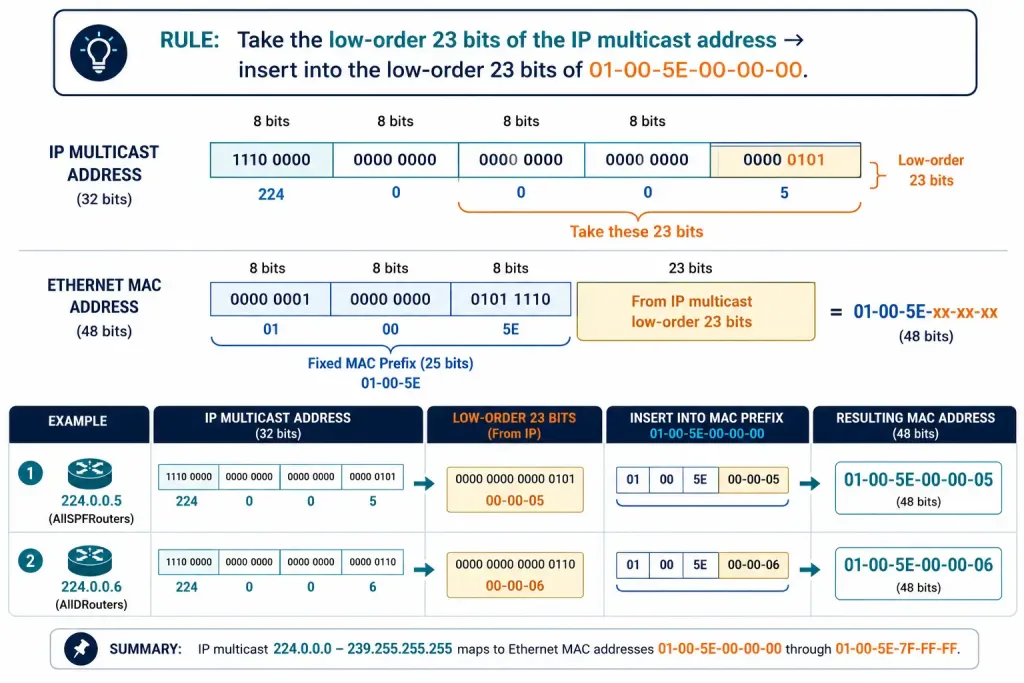 Ospf Encapsulation: How An Ospf Message Is Wrapped For Delivery 2 Diagram Showing How Multicast Ip Addresses 224.0.0.5 And 224.0.0.6 Map To Their Corresponding Ethernet Mac Addresses