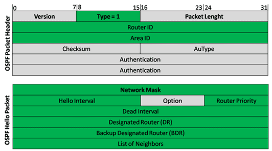 Introduction to Hello Packets