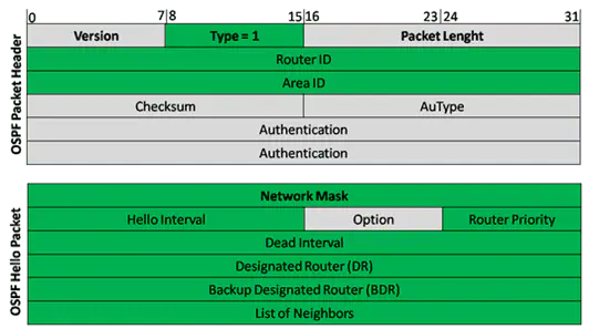 Introduction to Hello Packets