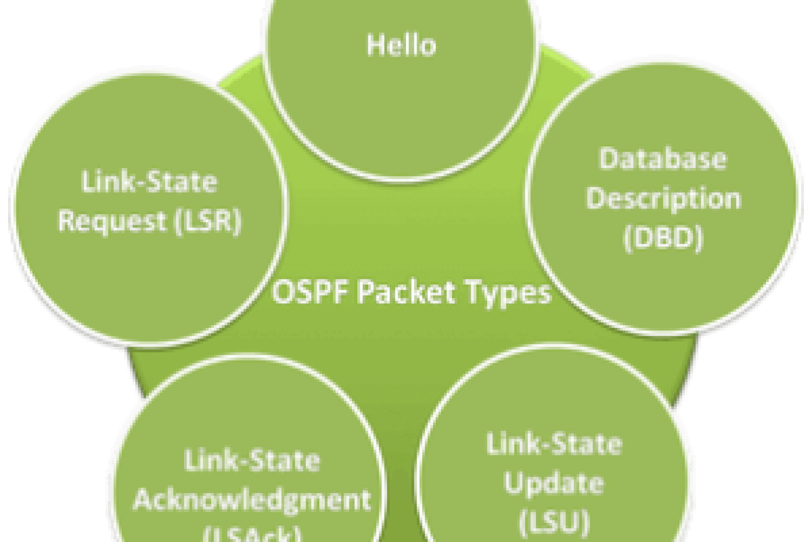 explanation-of-ospf-packets-types-networkustad