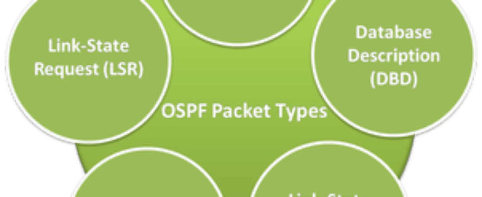 ospf packets