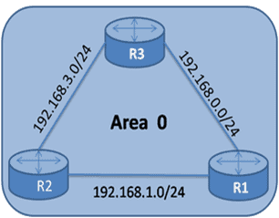 Introduction to OSPF Metric and Reference Bandwidth