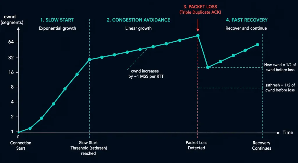 Tcp Reliability And Flow Control Explained 4 Line Chart Showing Tcp Congestion Window Growth, Packet Loss, And Fast Recovery Over Time